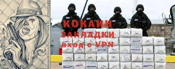 молекула духа Михайлов