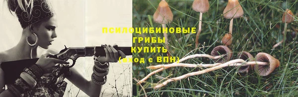 спиды Михайловск