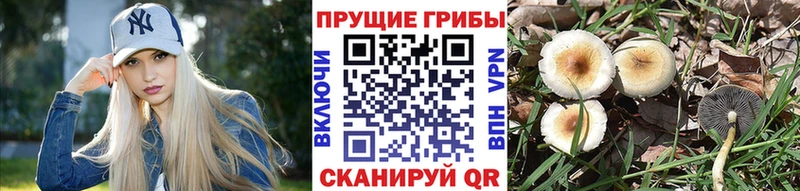 Купить где  Красноперекопск  Галлюциногенные грибы ЛСД 